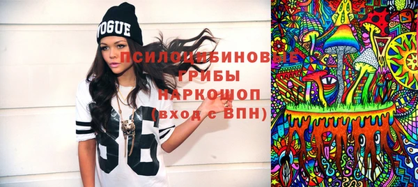 гидропоника Белокуриха