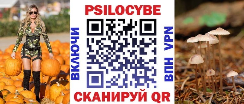 Галлюциногенные грибы Cubensis  mega tor  Шелехов 
